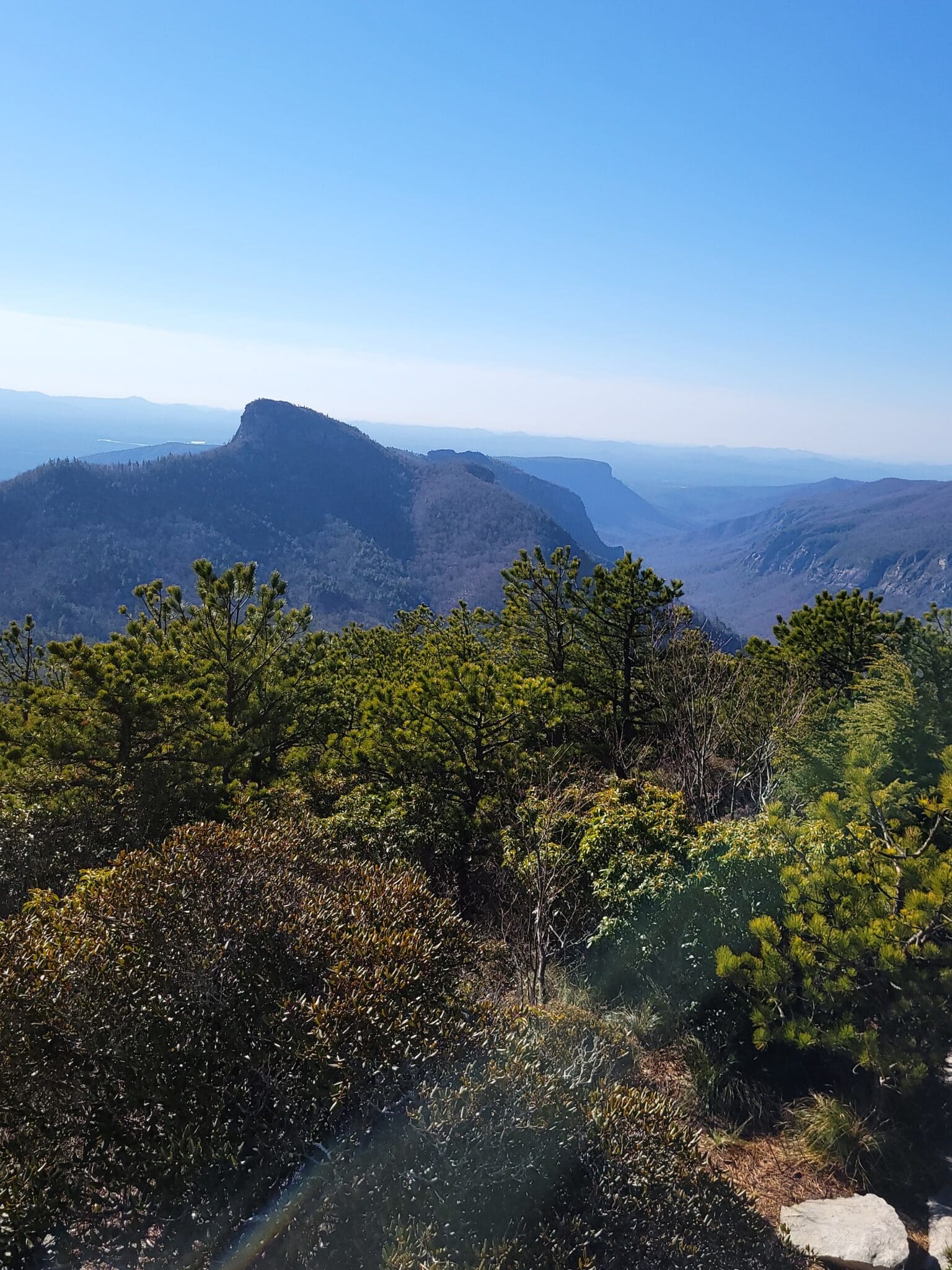 Linville Gorge Wilderness Area NC